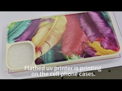 AC220V 50HZ Commerciële drukapparatuur Krachtige digitale UV-flatbedprinter