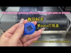 Industrie UV-printer met een enkele doorgang Grootformaatprinter waterdicht