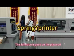 Multifunctie 1300kg Rich G5/G6 mondstuk met LED licht UV printer