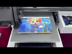 Windows / Mac compatibele digitale printer voor professioneel commercieel afdrukken