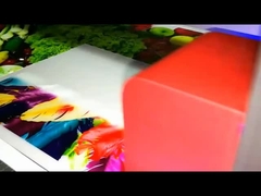 AC 110V/220V Power UV LED Printer Ultrahigh Aanpasbaar