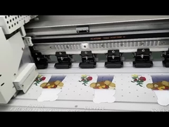 Druk DTF T-shirt printer met 4sqm/h snelheidsmodus en optionele Photoprint Rip Software