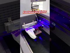 AC 220V/50Hz/60HZ stroomtoevoer Single Pass UV printer met Ricoh Gen 5i spuitstuk